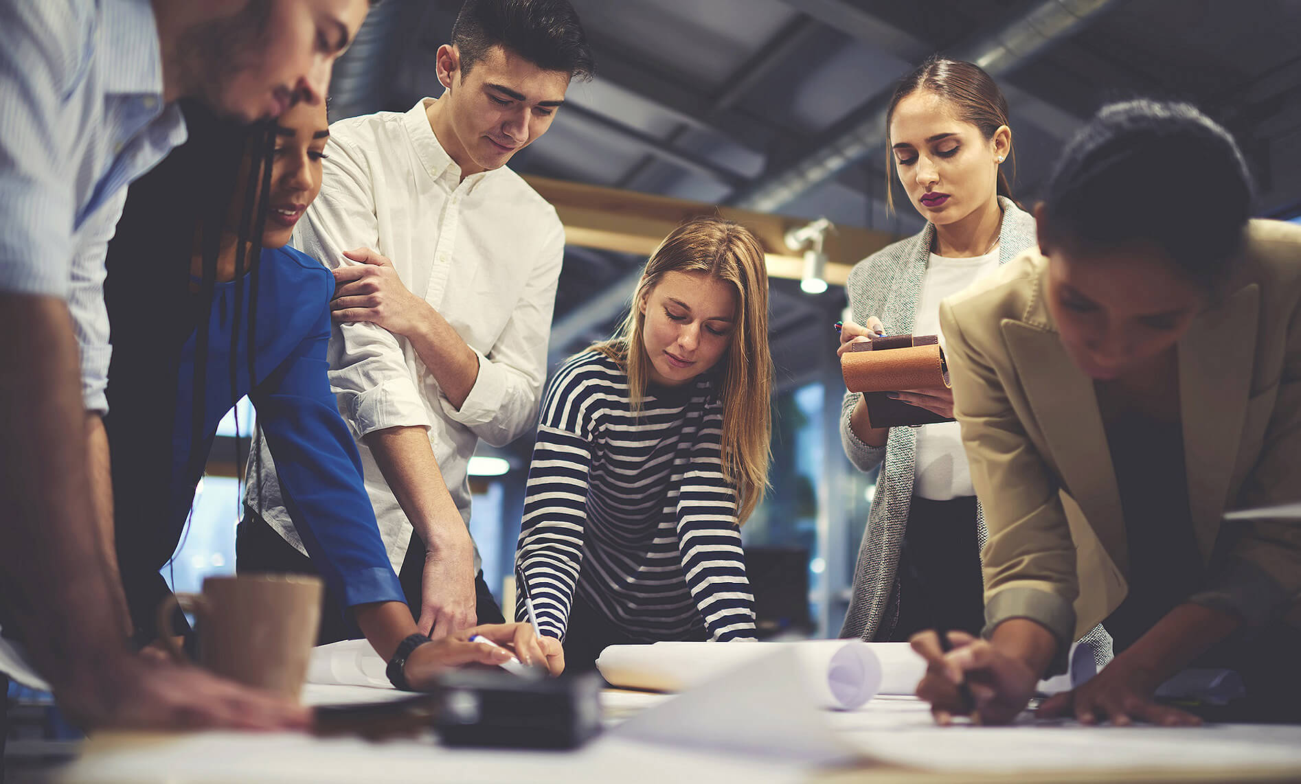 software development